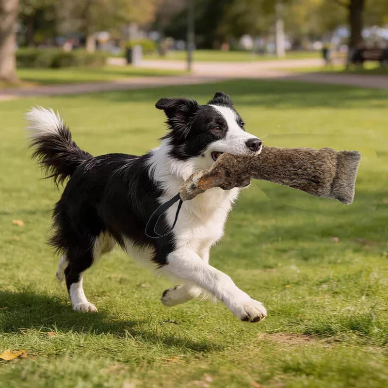 Thumbnail 3 - #16 Low Cost Dog Tug Toys That Work