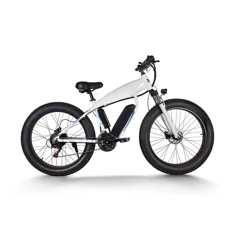 BR Hot Sell MINALBIKE FT33 Electric Bike 20Inch 48V10.5Ah Aluminum Alloy Frame Disc Brake Rear Hub Motor Lithium Battery Fat Bik
