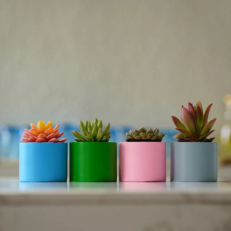 

Circular Succulent Planter - Minimalist Hydroponic Pot for Home Gardening, Instagram Decor