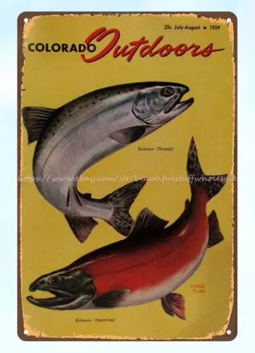 plaque 1959 Colorado Outdoors Magazine Kokanee Salmon metal tin sign