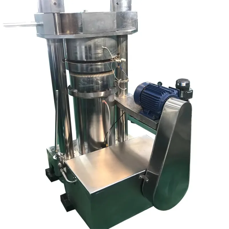 Commercial Stainless Steel Oil Extraction Machine Customized for Sesame Peanut Sunflower Seed Oil Press