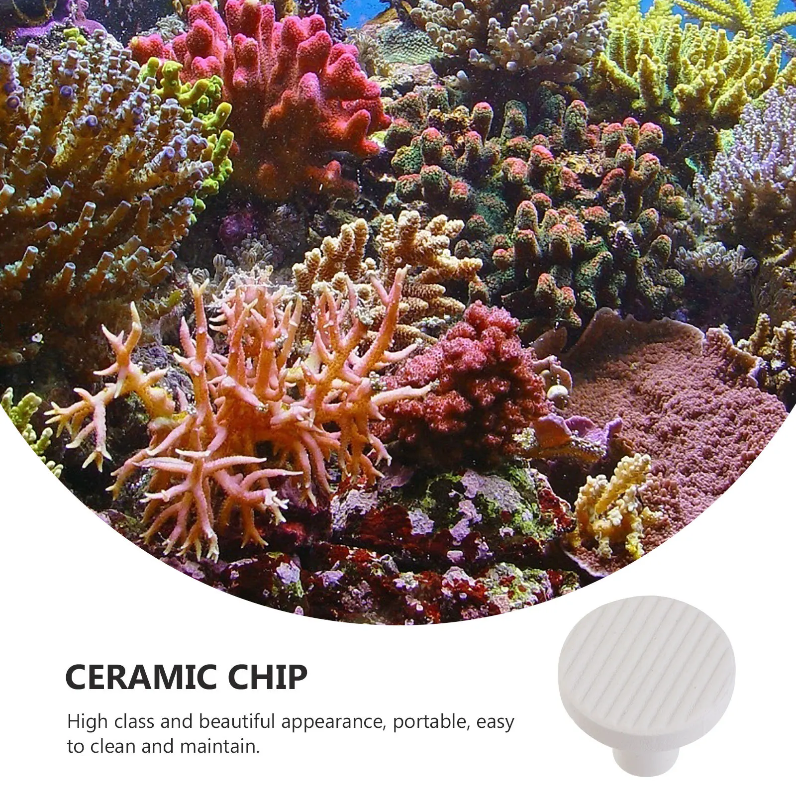 

10Pcs Coral Base Ceramic Supports Professional Coral Plant Holders Stable Reef Growth Aquarium Decorations Flooring Landscaping