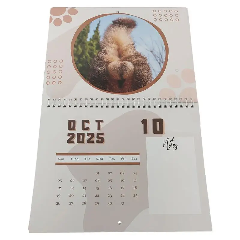 Month To View Cat Lovers Calendar Cat Butt Month To View Organizer 2025 Cat Balls Organizing Calendar With Notes Space For Home