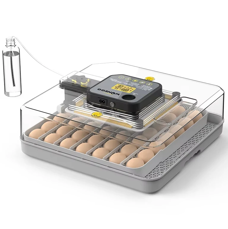 48H Energy Saving Portable Automatics Chick Egg Hatchings Machine for Sale