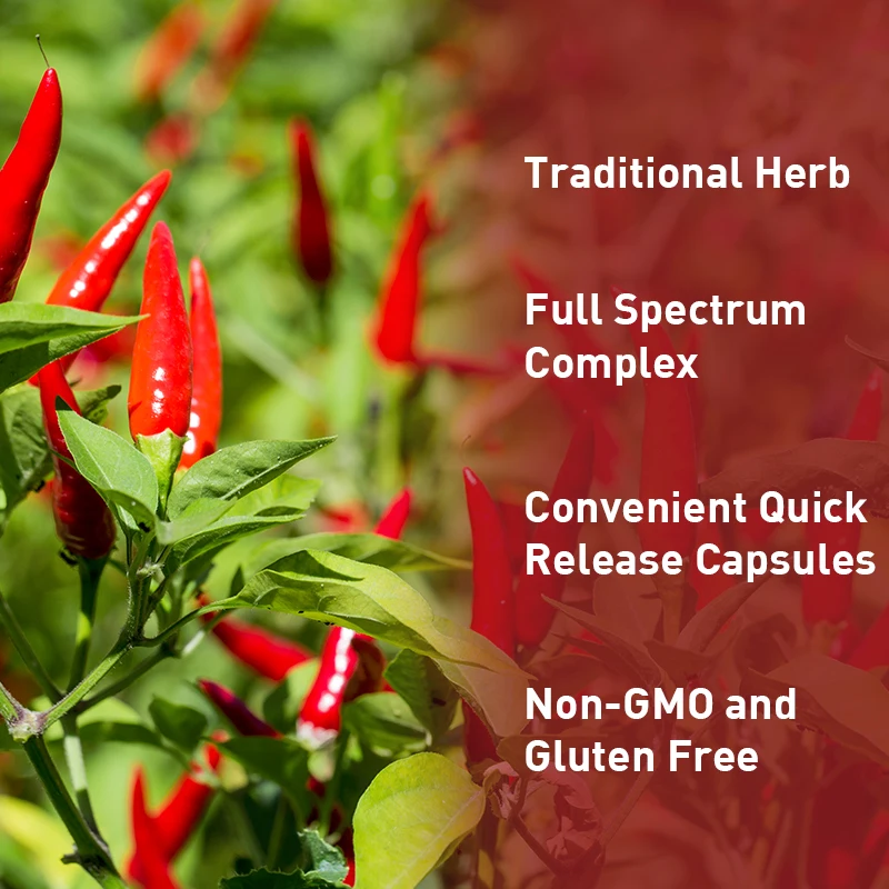 Cayenne Pepper Capsules 600mg - Supports Cardiovascular Health, Improves Digestion, and Blood Circulation