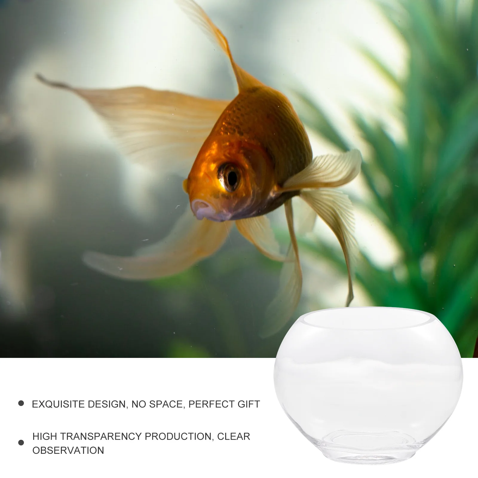 

Glass Desktop Fish Tank Small Oval Micro Landscape Bottle Household Tabletop Decorative Plant Storage Pot Succulent