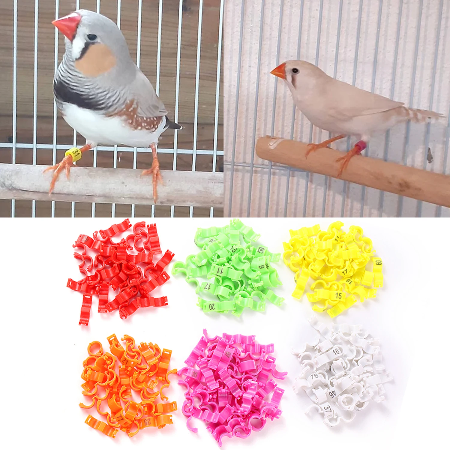 DIY BIRD คลิปแหวนพลาสติก 2.7/3/4/4.5/5 มม.แหวนปรับแต่ง BIRD เท้าแหวน Acacia Canary ขนาดเล็ก Parrot เท้าแหวน 100 ชิ้น/เซ็ต