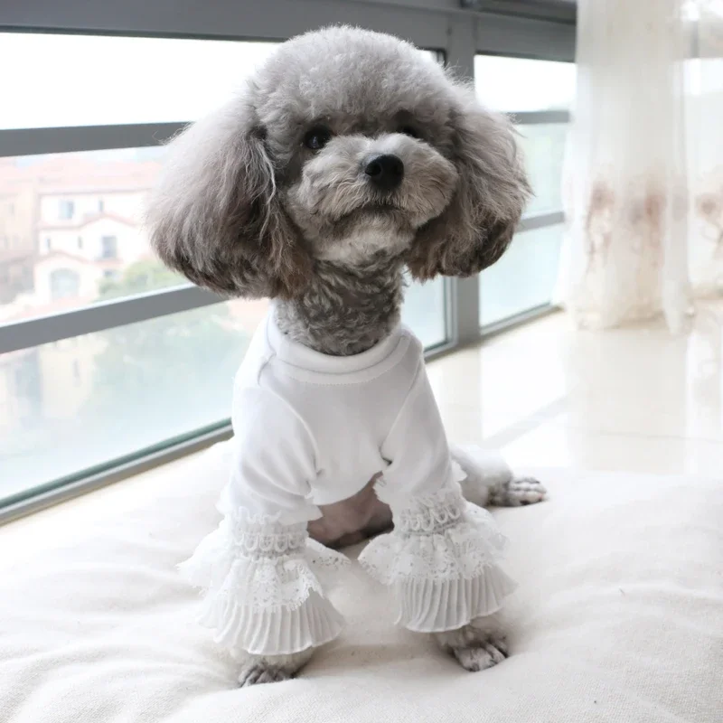 2025 New Pet Spring and Autumn Thin Section Cotton Lace Long-sleeved Pullover Bottoming Shirt Long-legged Teddy T-shirt Top