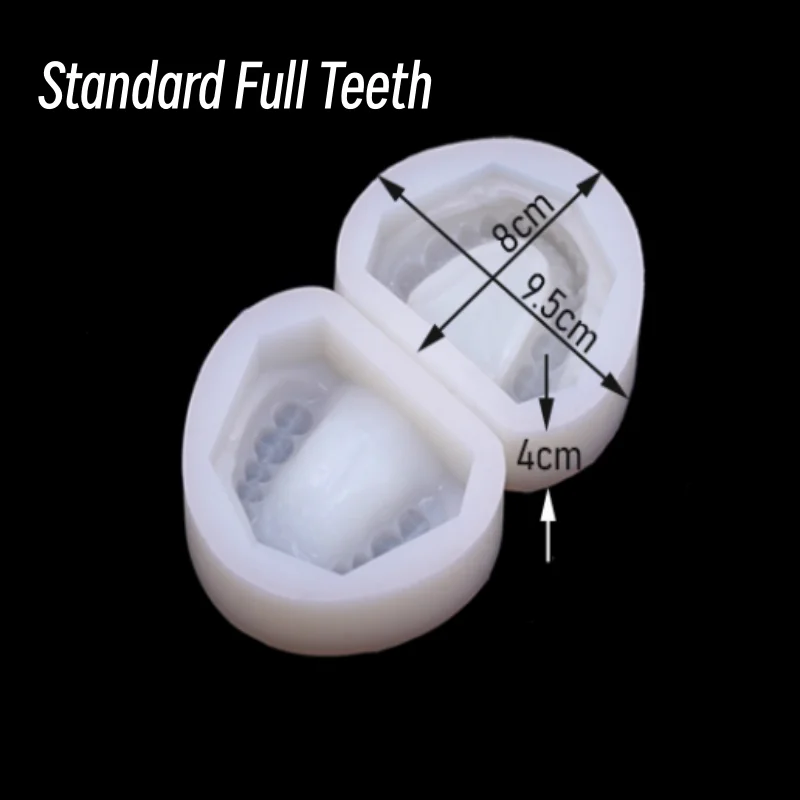 2Pcs Dental Silicone Plaster Model Mold Complete Cavity Block Mould Base Standard Full Teeth Dentistry Equipment