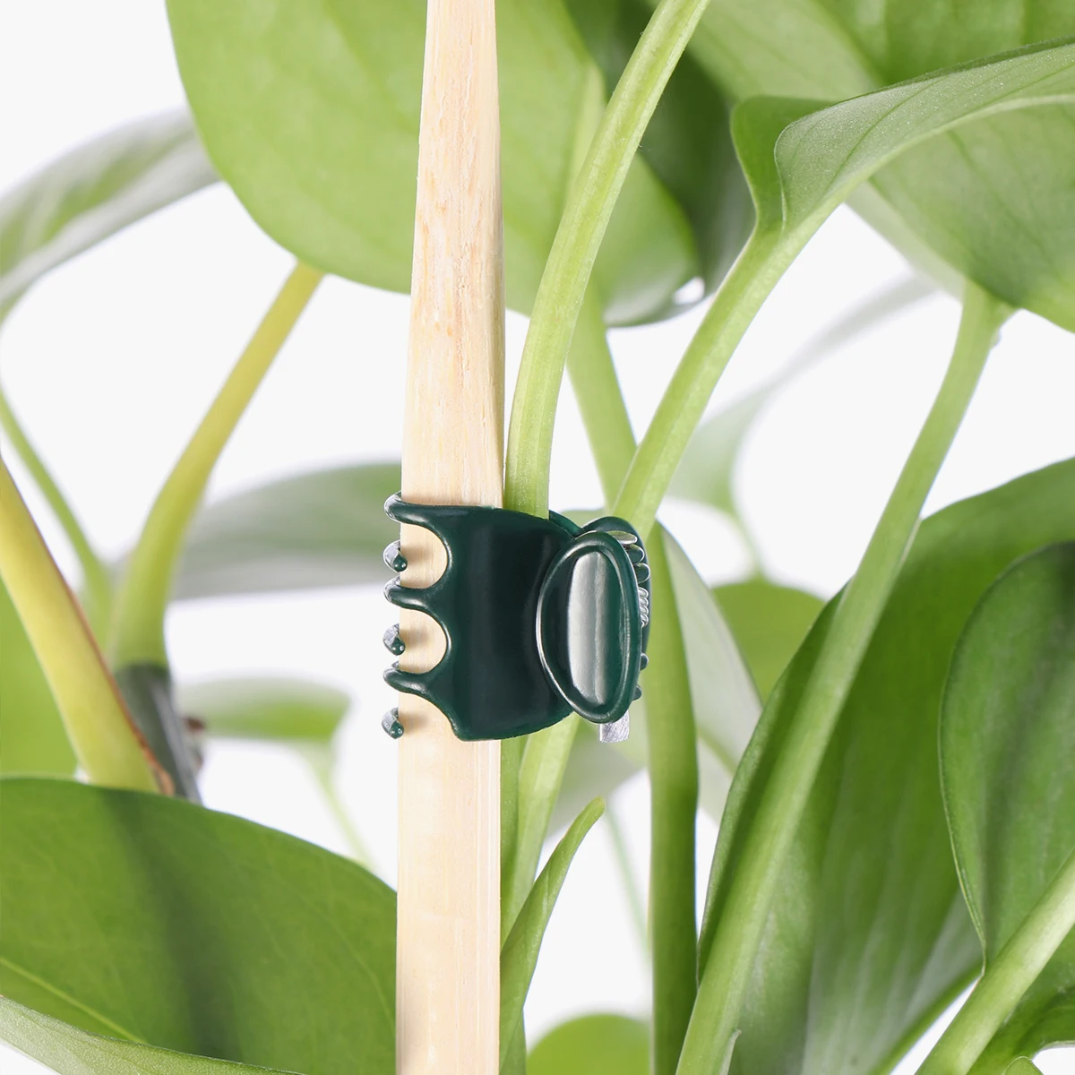 

100Pcs Plastic Orchid Clips Plant Supporting Clips for Garden Flower Vines Stem Support and Protection Plant Gripper