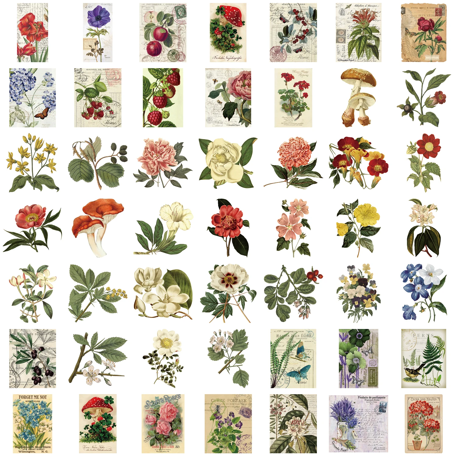 50pcs Retro Plants Stickers For Water Bottles PET Waterproof Stickers For Laptop Skateboard Computer For Teens Girls Adults