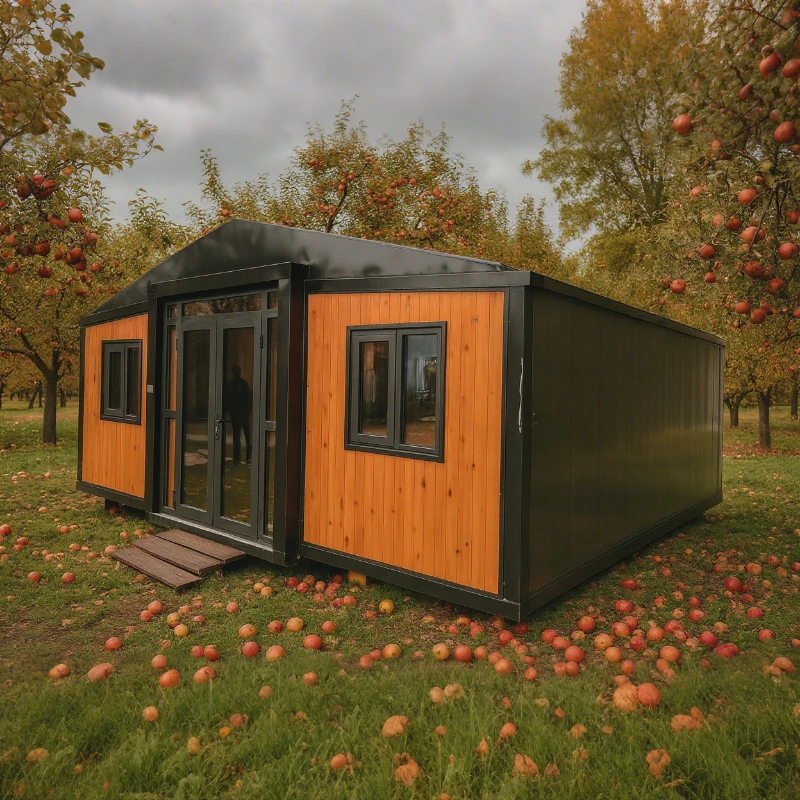 20ft 40ft Foldable Prefab Tiny House Container House Homestay Parent Child Leisure Venue Sheds Garden Back Yard Warehouse Barn