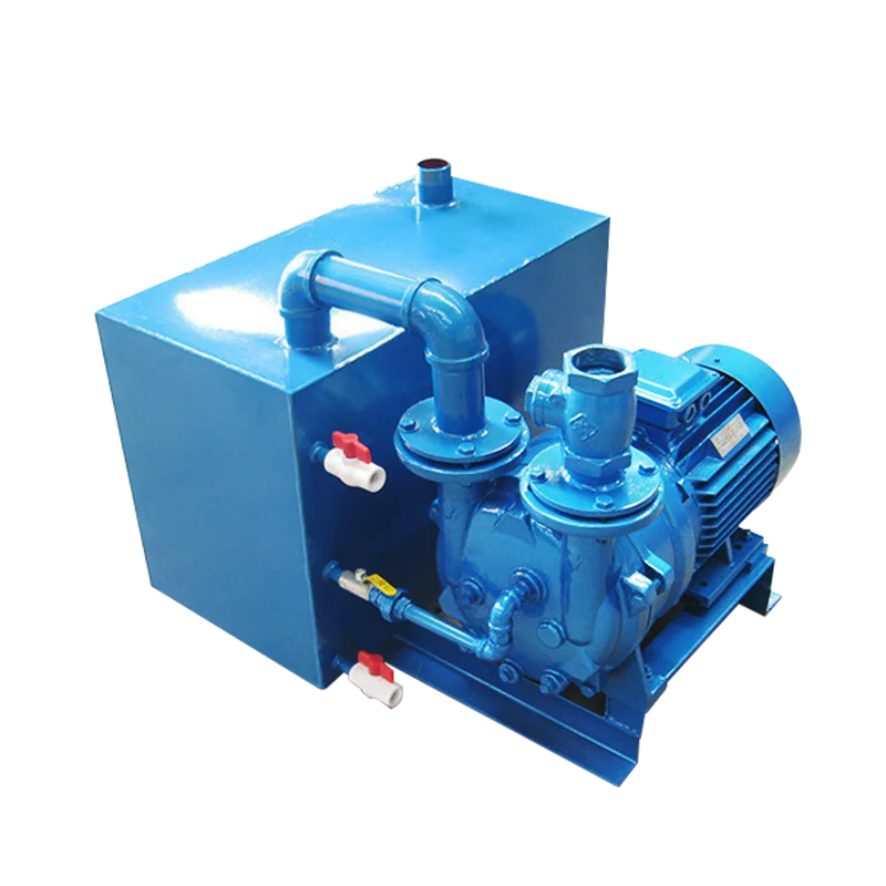 Factory Direct 2BV Single Two Double Stage Liquid Water Ring Vacuum Pump with Compressor OEM/ODM Customization