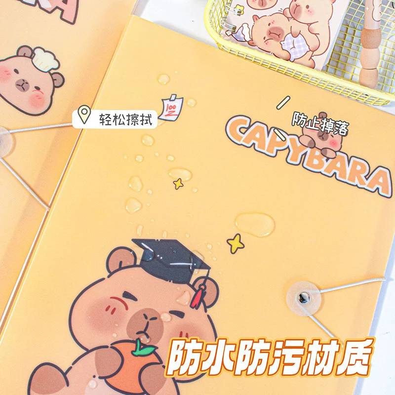 Capybara – livre d'information Kawaii A4, dossier à insérer Transparent, livre de Collection, certificat d'étudiant, livre de stockage de papier de Test