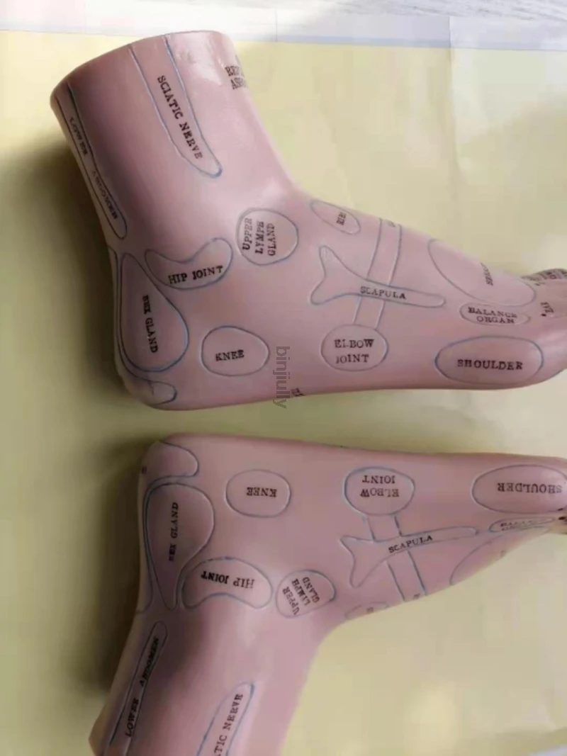 20cm Foot reflex zone massage model, not acupuncture model, English code TCM Feet Reflexology, 2pcs = 1 pair free shipping