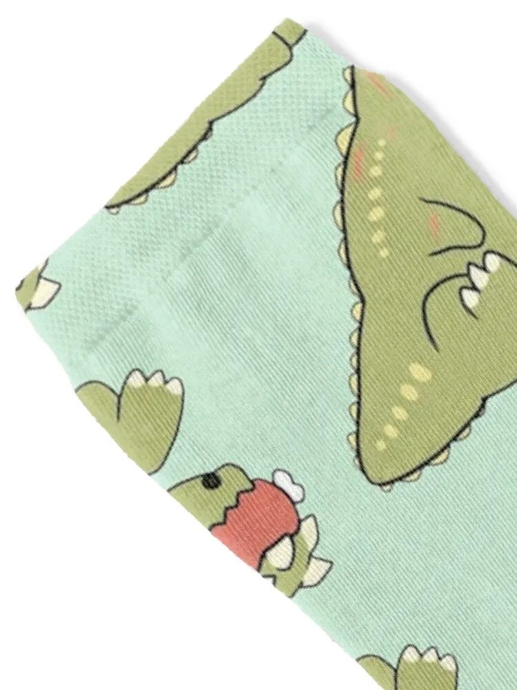 Deviljho monster hunter Socks crazy luxury valentine gift ideas bright garter Girl'S Socks Men's