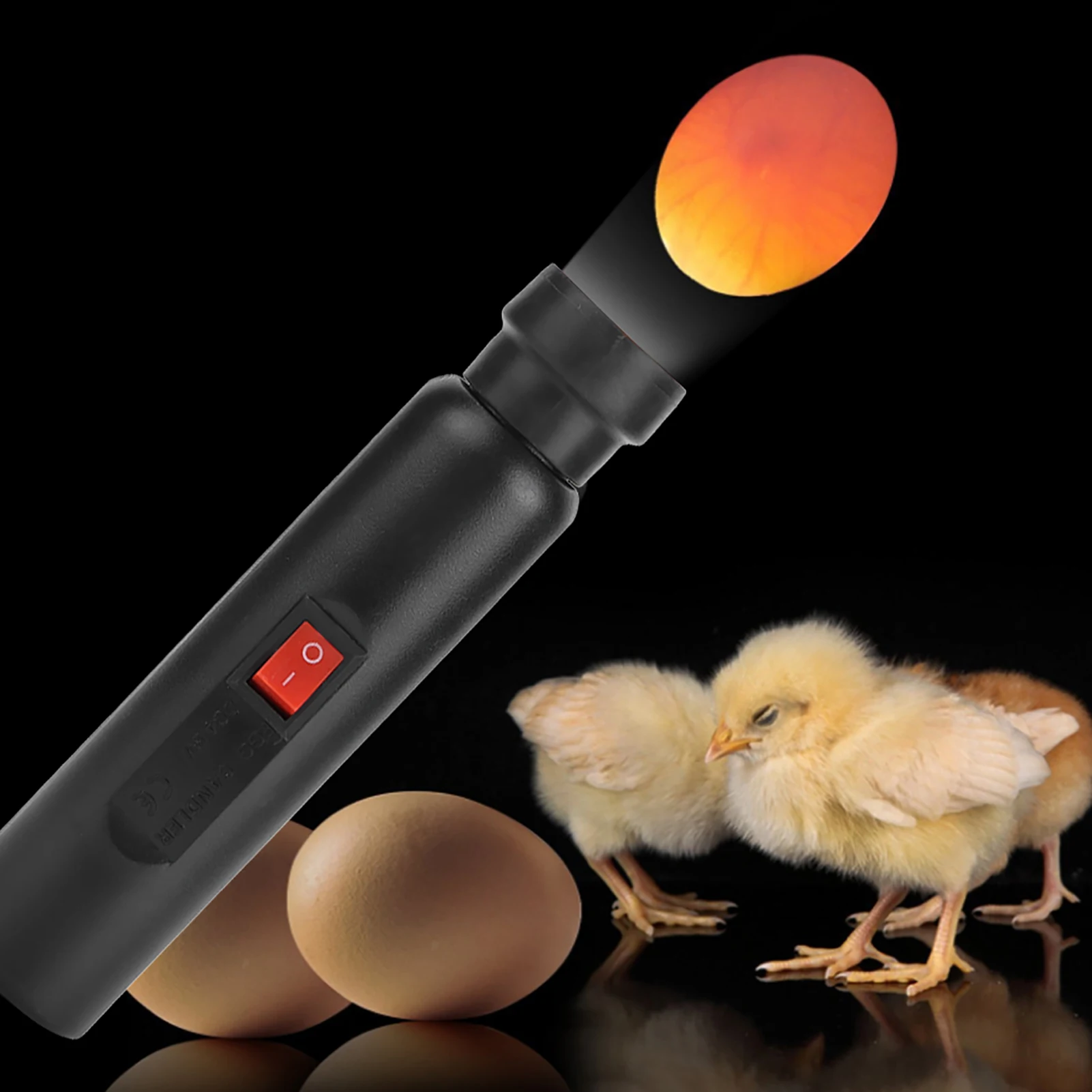 

The LED cold light egg-laying machine for checking the development of breeding eggs is equipped with a battery box
