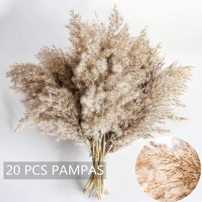 

20pcs Fluffy Natural Botanical Bouquet Wedding Decorative Dried Flowers Real Large Dried Pampas Grass Grass Home Decor Dried Flo