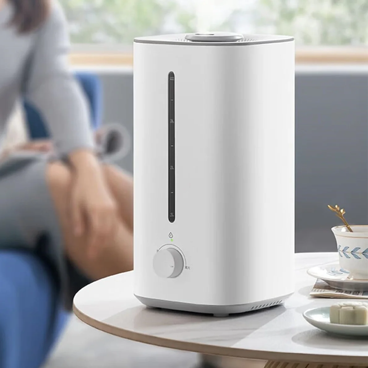 Low Cost Mist Maker…