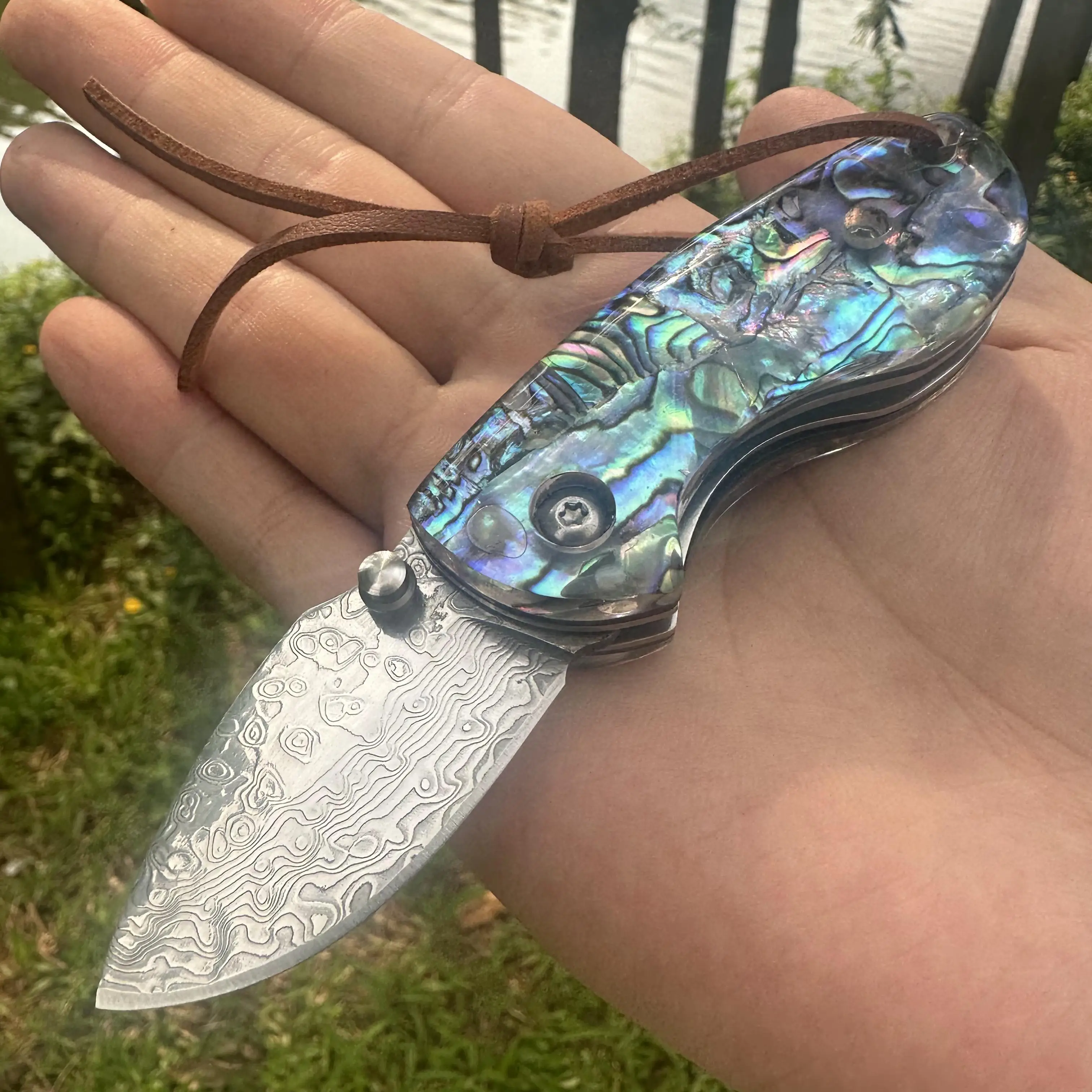 

Topwell Handmade Mini Damascus VG10 Steel Blade Portable Knife Abalone Shell Handle EDC Outdoor Camping Unpacking Sharp Knife