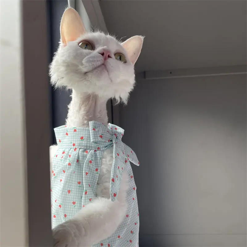 Cat Clothing in Summer Sweet Light Blue Double-Layer Lightweight Cotton Fluffy Dress Bow Skirt for Sphinx Cat Soft Vest for Cat