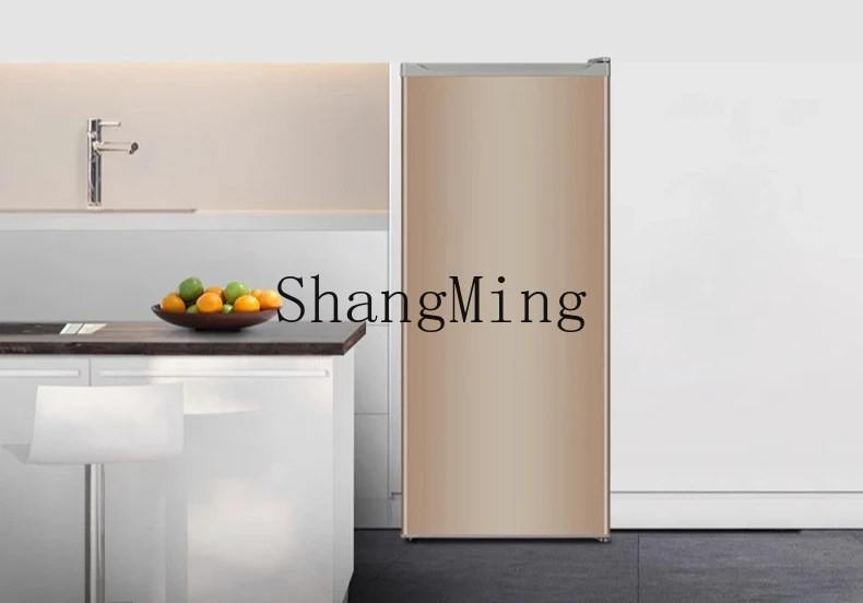 ZYY piccolo frigorifero congelato 180L congelatore a cassetto verticale piccolo risparmio energetico domestico