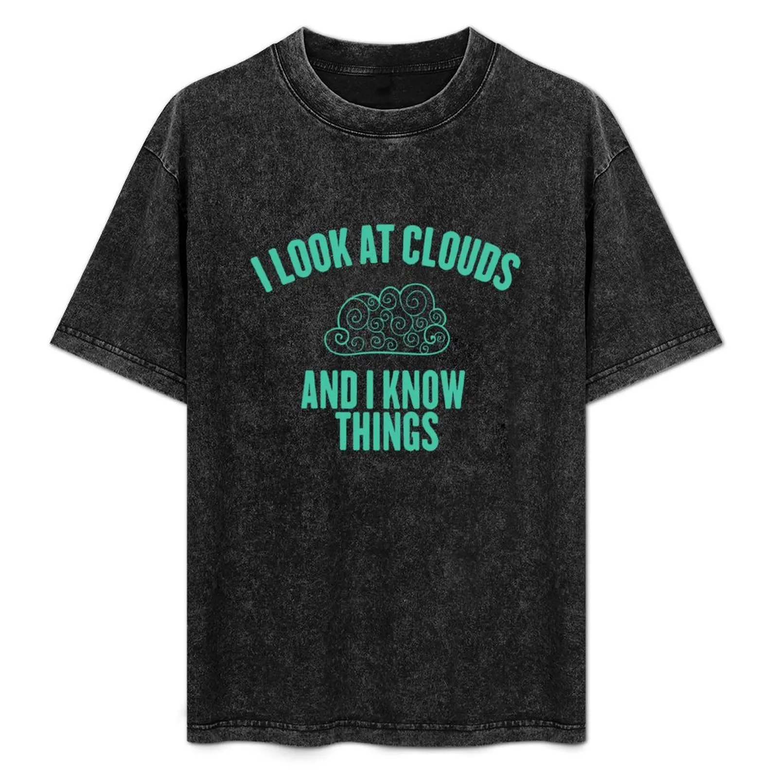 

Cute Meteorology Shirt, Clouds T-Shirt, Weather Forecast Tee, Gift For Meteorologist, Cloudy Crew, Major, Teacher, Gradu T-Shirt