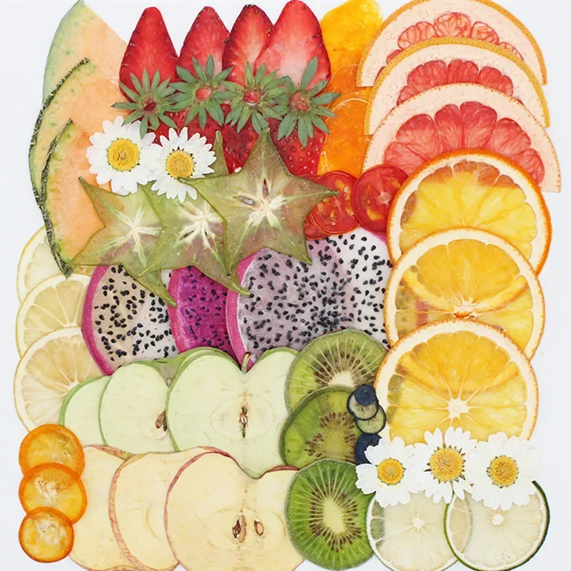 Dried Pressed Fruit Vegetable Slice Plant Herbarium For Jewelry Postcard Invitation Card Phone Case Bookmark Candle Bookmark DIY