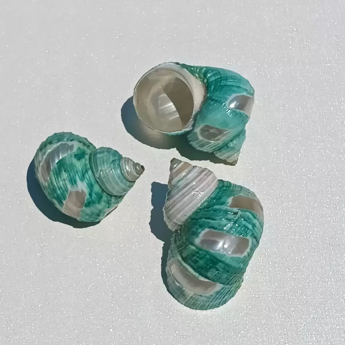 3pcs Conch Windmill Green Oil Snail 3.5-4.5cm Hermit Crab Replacement Shell Fish Tank Landscaping Home Ornament