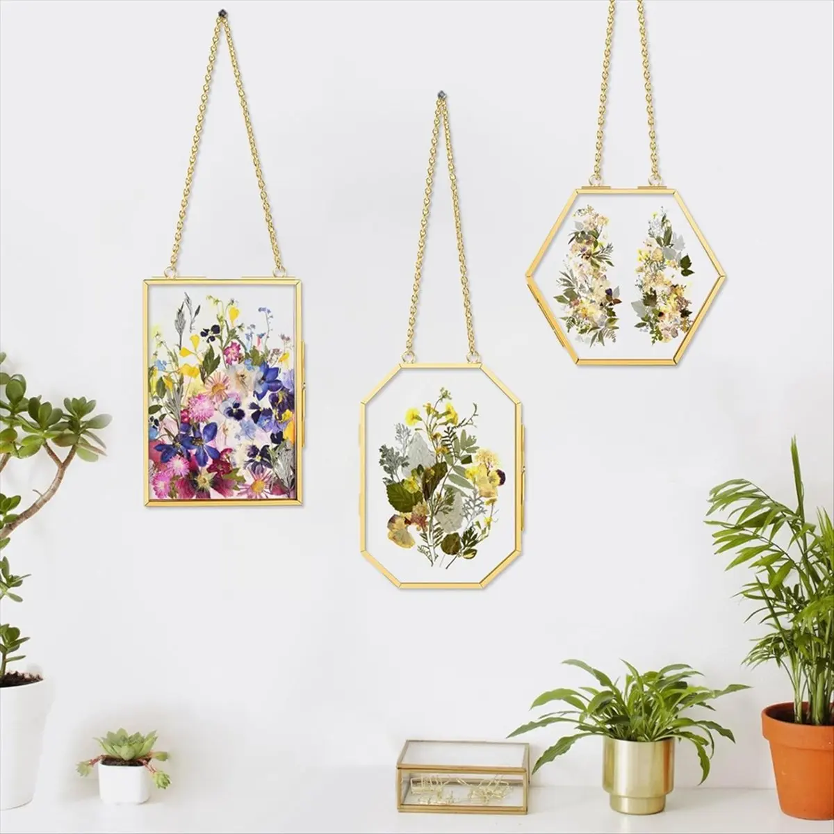 NEW 3 Pcs Pressed Flower Frames with Tweezers, Wall Hanging Double Glass Frames with Metal Chain for Pressed Dried Flowers