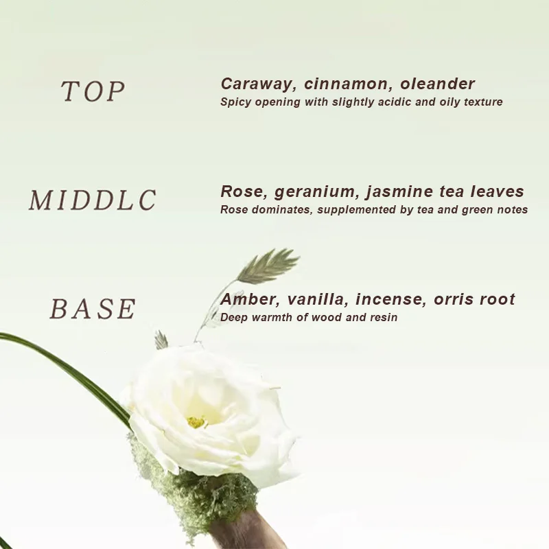 عطر غامض فاخر عالي الجودة مزيل عرق يدوم طويلاً أو دو برفوم من خشب الصندل الرومانسي الطازج بخاخ عطر رائع