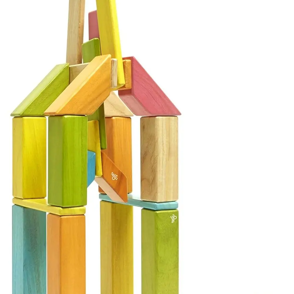 42-Piece Tegu Magnetic Wood Block Set, Tints, Suitable for Ages 1 to 99