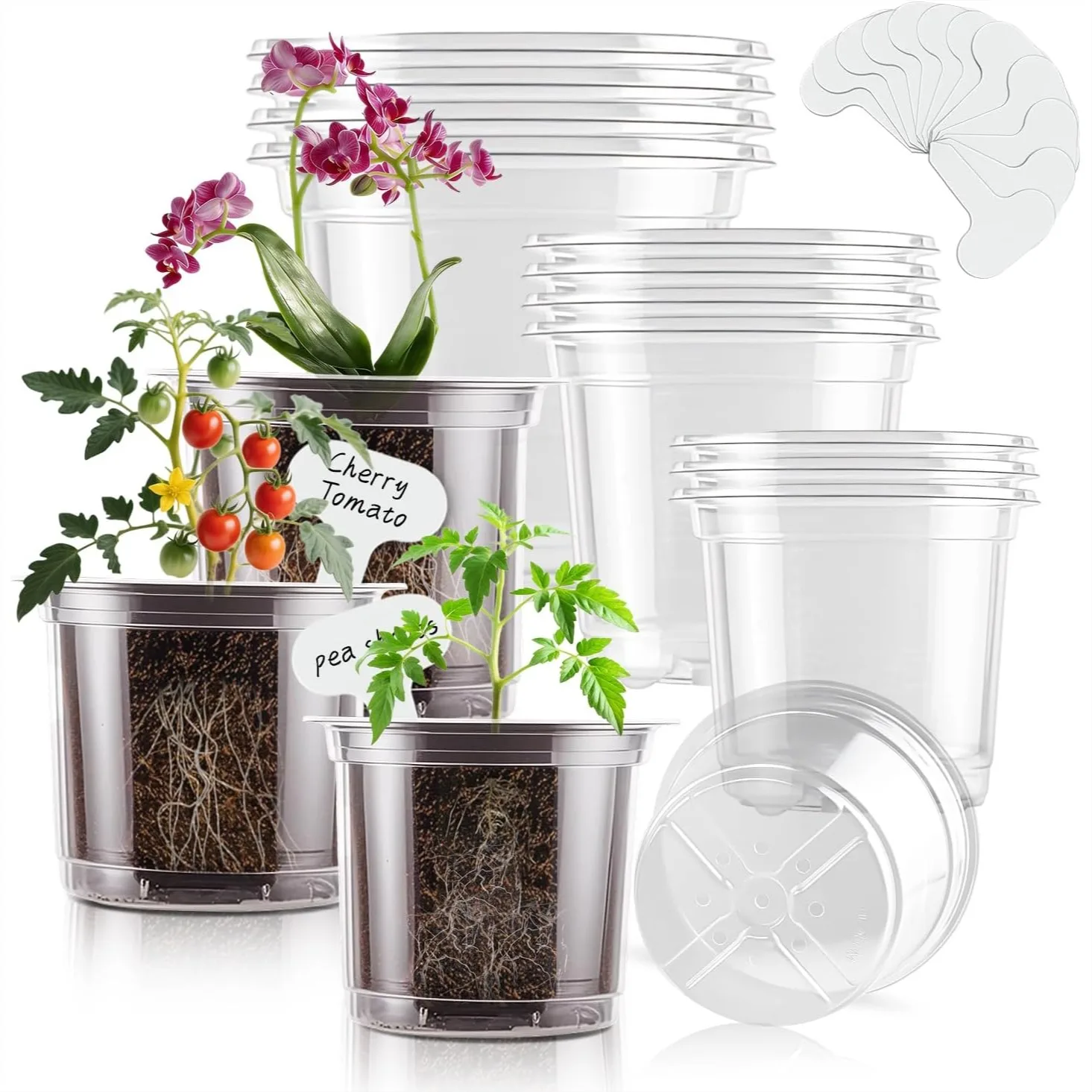 

Clear Nursery Pots 12-Pack with Drainage Holes for Seed Starting Transplanting Succulents and Labels