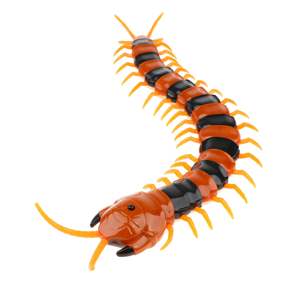 Remote Control Centipede Infrared Simulation Animal Electric Toy Plastic Rc Toys for Children Kids Toy