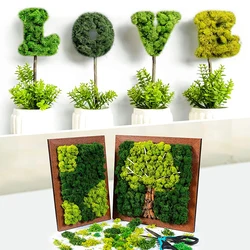 60/300g Preserved Moss Artificial Green Plants Eternal Life Moss Grass Home Garden Decoration Landscape Fake Flower DIY Crafts