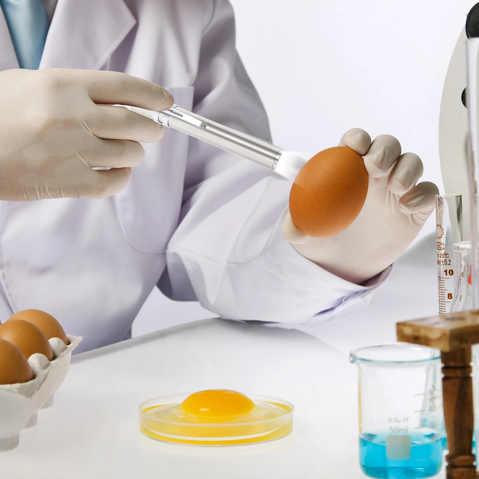 

Canister Bird Chick Candling Flashlight LED Egg Candler Stainless Steel Incubators Chicken Eggs Child Egg Tester Eggs Incubator
