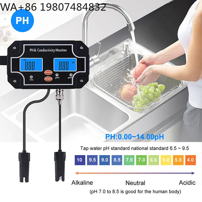 Continuous ing Water Quality Meter PH EC Conductivity Detector Aquarium Fish Tank Online Real-time Analyzer
