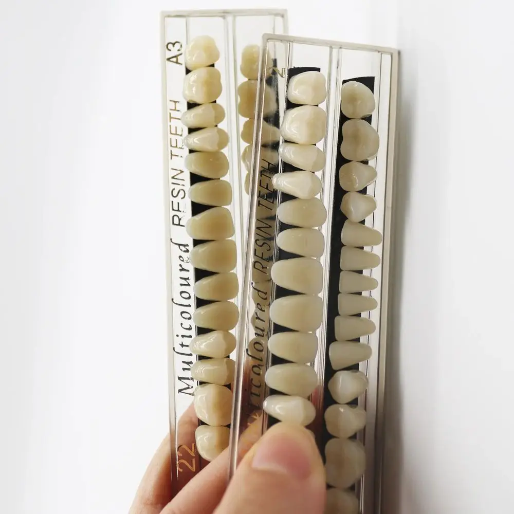 

28 зубов, смоляные протезы, зубы, стоматологическая синтетическая смола, модель постоянных зубов