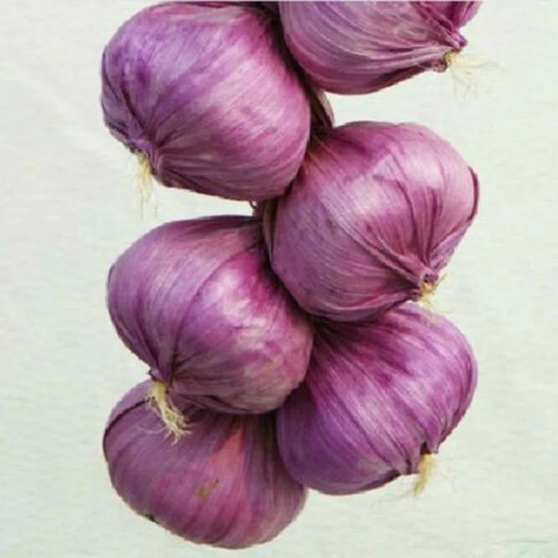 

Accessories Portable Hanging Vegetable Garlic Office Onion Party Photography Props Simulation Artificial Decor