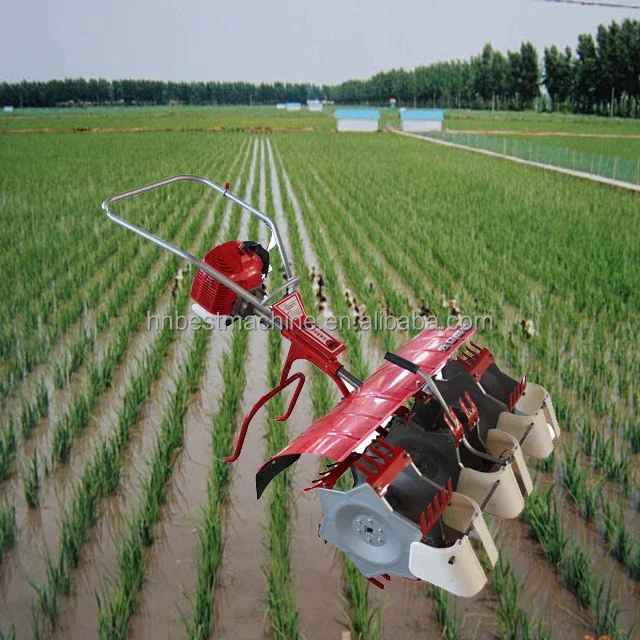 Philippines Small Farm Weeding Machine / 2 row paddy field weeder for sale