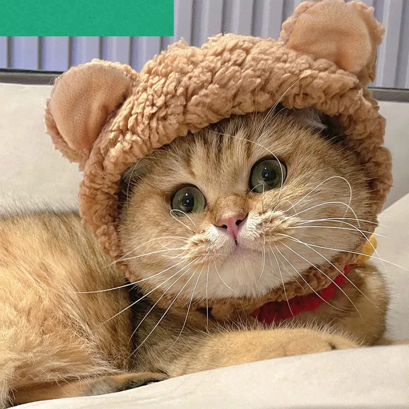 

Hats for Cats Cat Ear Cap Cat Accessories Soft and Comfortable Plush Pet Supplies Pet Accessories Hot Sale on Instagram Dropship