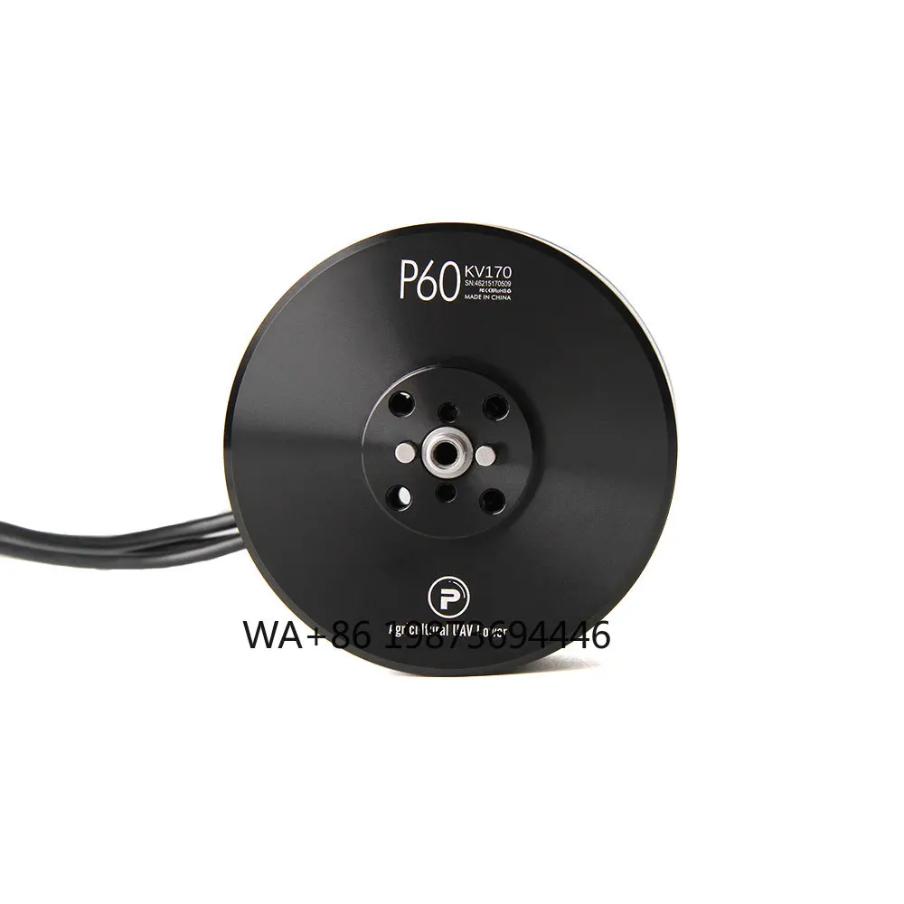

P60 Pin KV170 KV340 Brushless RC Outrunner Motor Cheap Price Wholesale 10kg 20kg for Agriculture