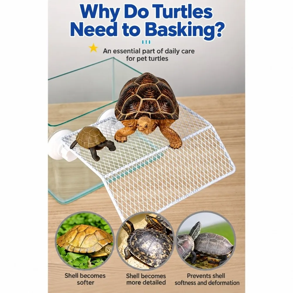 Suction Cup Turtle Basking Platform Adjustable Height Wire Mesh Turtle Sunbathing Stand Wall-Mounted Turtle Dock Terrarium