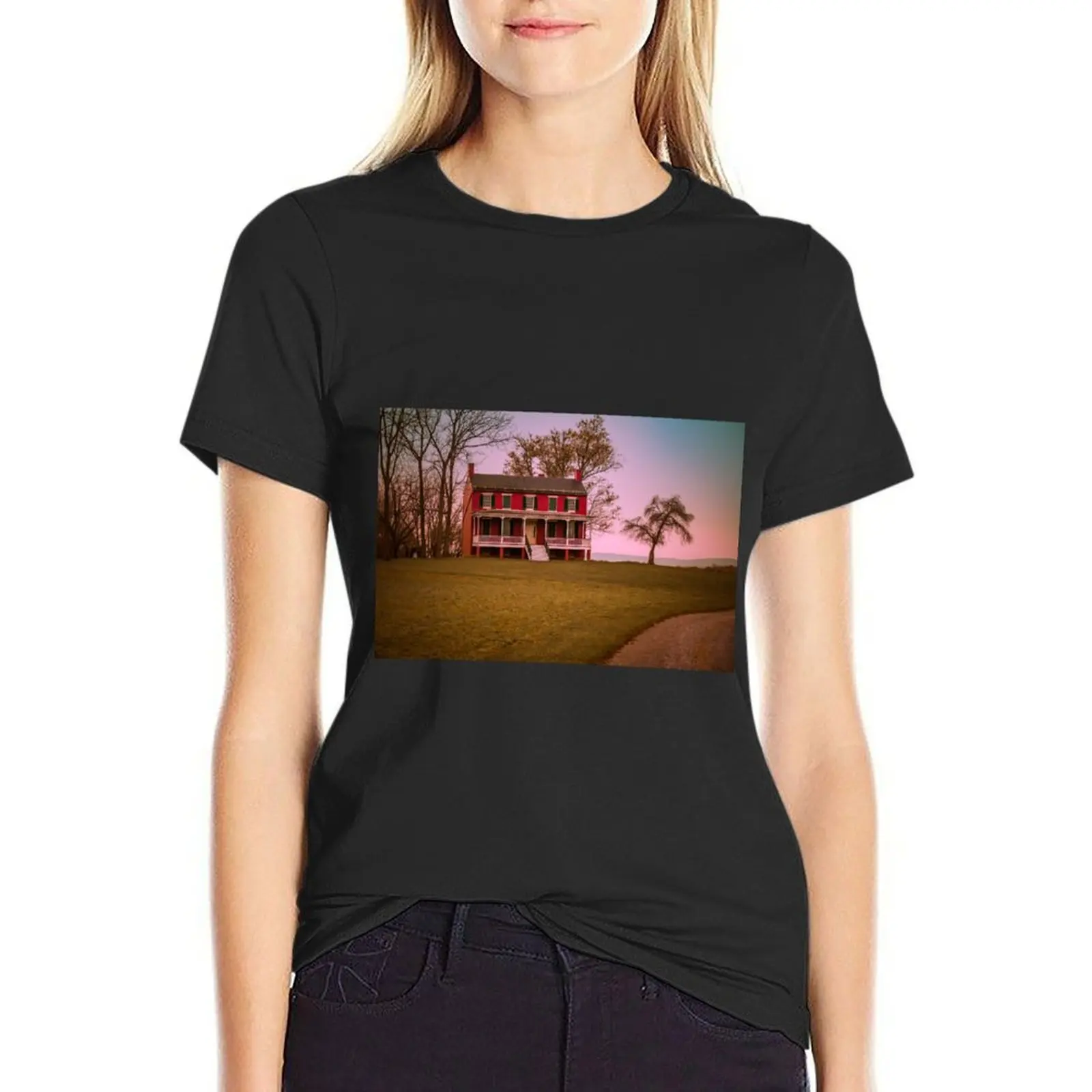 Worthington House Monocacy National Battlefield Park T-Shirt aesthetic clothes tops female funny t shirts for Women