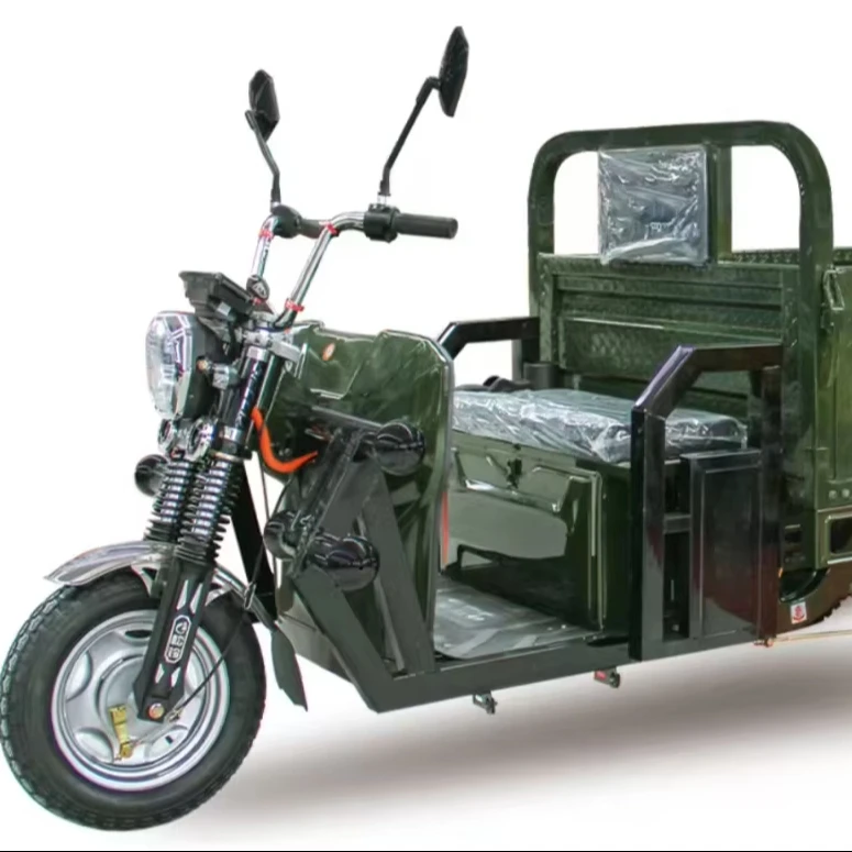 New 1000W 3-Wheel Electric Cargo Tricycle 60V Voltage 400kg Payload Capacity Closed Steel Body for Adults