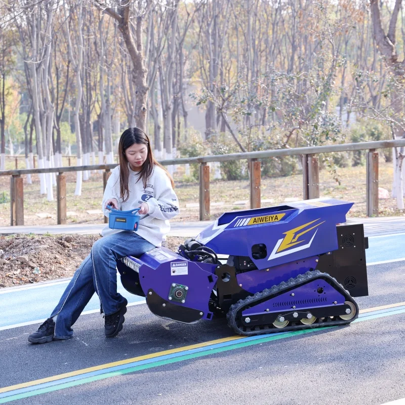 Customizable 800Mm … - image