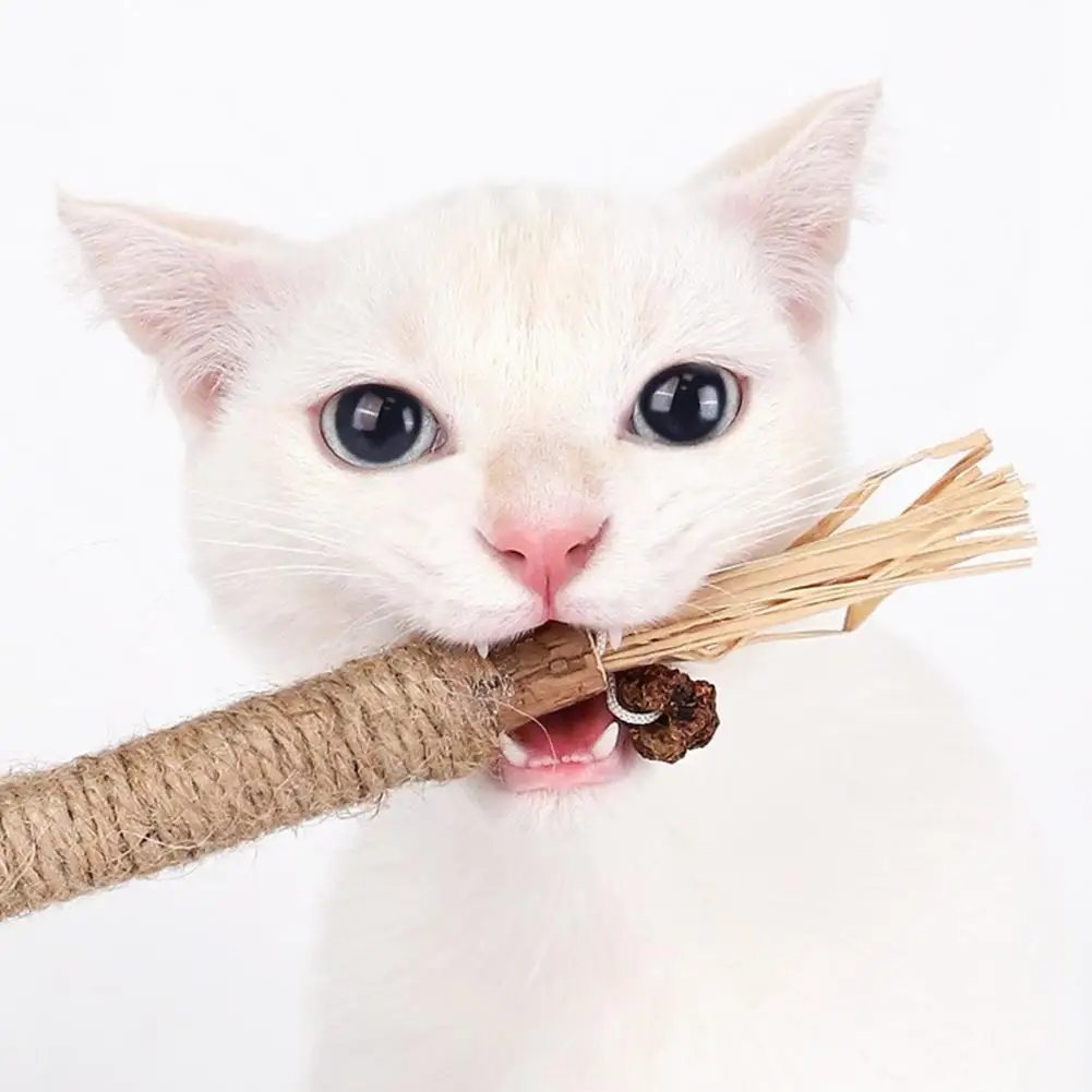 Natural Cat Toy Pet Dental Hygiene Toy Natural Cat Chew Stick Toy for Dental Health Teeth Catnip Treat Toys for Indoor Kittens