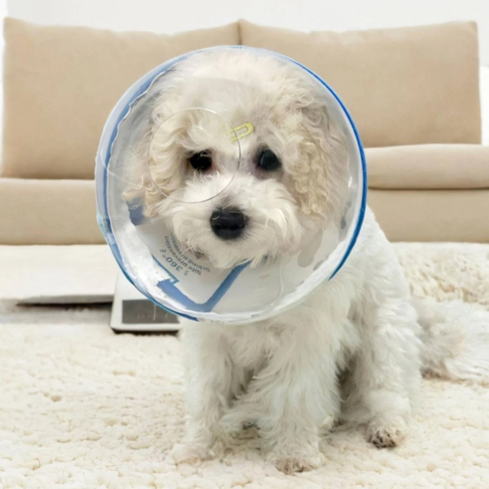 Anti Lick Dog Cone Adjustable Fit Dog Cone Collar Lightweight Easy to Clean for Cats, Post Surgery, Vet Care