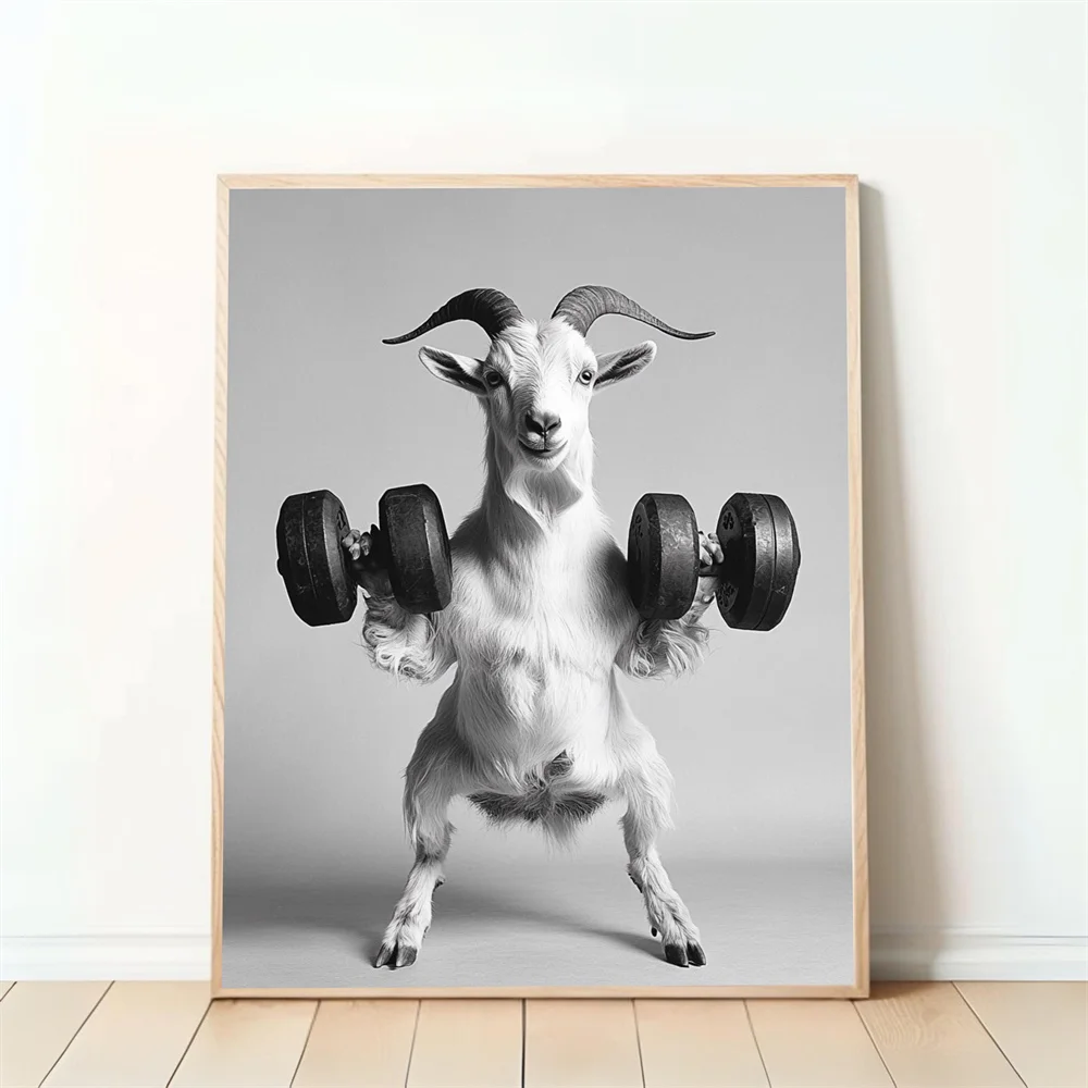 مضحك الحيوان اللياقة البدنية المشارك الدب سمور الماعز رفع الحديد ركل الكرة قماش اللوحة غرفة المنزل الديكور