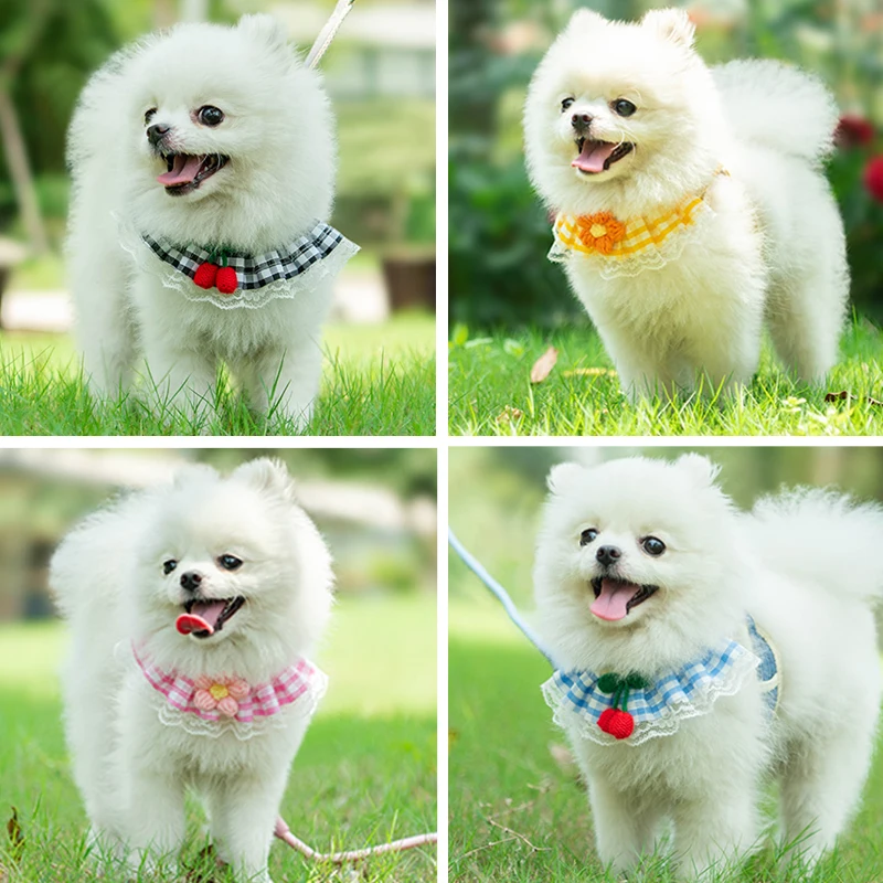 Hondenriem, borstband, kattenvest